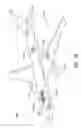 Fig. 22 - Methods for additively manufacturing composite parts