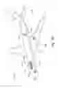 Fig. 22 - Systems for additively manufacturing composite parts