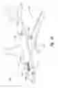 Fig. 34 - Systems for additively manufacturing composite parts