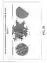 Fig. 34 - GRAPHENE OR CARBON NANOTUBE MATERIALS AND METHOD OF MAKING AND USING THE SAME