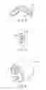 Fig. 03 - INSERT MOLDED ARTICLE, APPARATUS INCLUDING INSERT MOLDED ARTICLE, AND METHOD FOR PRODUCING INSERT MOLDED ARTICLE