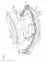 Fig. 07 - Vehicle seat