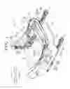 Fig. 02 - Vehicle seat