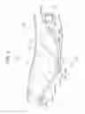Fig. 06 - Vehicle seat