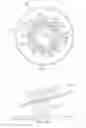 Fig. 12 - Multi-vehicle retention grommet