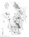 Fig. 04 - Vehicle seat