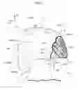 Fig. 06 - Occupant protection device