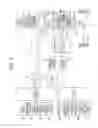 Fig. 02 - Control apparatus