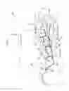 Fig. 02 - Vehicle rear portion structure