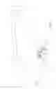 Fig. 02 - Shifting device and shifting pawl for a shifting device