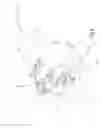 Fig. 10 - Shifting device and shifting pawl for a shifting device