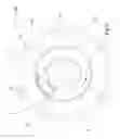 Fig. 13 - Shifting device and shifting pawl for a shifting device