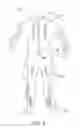 Fig. 04 - BODY SURFING SUIT