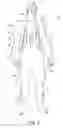 Fig. 06 - BODY SURFING SUIT