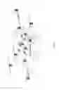 Fig. 10 - Multifunctional flying platform