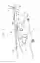 Fig. 02 - Inlet seal for a turboshaft engine