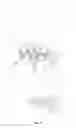 Fig. 09 - Cap for gas vessel having separable gas exhaust unit