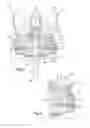Fig. 02 - Assembly For Dispensing An Aerosol Comprising An Improved Area For Contact With A Neck Of A Container