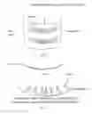 Fig. 02 - TRAY FOR HOLDING EYELASH EXTENSIONS