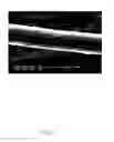 Fig. 08 - Method for growing carbon nanotubes
