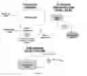 Fig. 02 - PHYSICO-CHEMICAL PROCESS FOR REMOVAL OF NITROGEN SPECIES FROM RECIRCULATED AQUACULTURE SYSTEMS