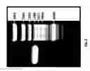 Fig. 06 - METHODS, COMPOSITIONS AND DEVICES FOR MAINTAINING CHEMICAL BALANCE OF CHLORINATED WATER
