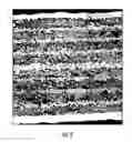 Fig. 04 - UNIFORMITY OF FIBER SPACING IN CMC MATERIALS
