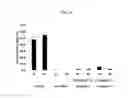 Fig. 09 - MMF-derivatives of ethyleneglycols