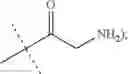 Fig. 22 - Methionine analogs and methods of using same