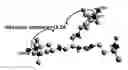 Fig. 01 - Site-specific dynamic nuclear polarization NMR agents