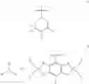 Fig. 32 - Site-specific dynamic nuclear polarization NMR agents