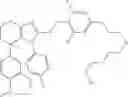 Fig. 303 - Tetrahydro-benzoimidazolyl modulators of TGR5