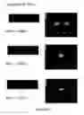 Fig. 30 - Leveler, leveler composition and method for electrodeposition of metals in microelectronics