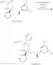 Fig. 124 - NKantagonists