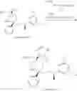 Fig. 155 - NKantagonists