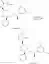 Fig. 170 - NKantagonists