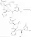 Fig. 174 - NKantagonists