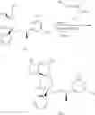 Fig. 180 - NKantagonists