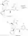Fig. 202 - NKantagonists