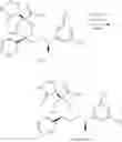 Fig. 247 - NKantagonists