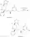 Fig. 261 - NKantagonists