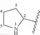 Fig. 80 - NKantagonists