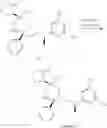 Fig. 95 - NKantagonists