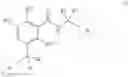 Fig. 09 - Therapeutic inhibitory compounds