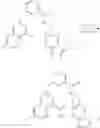 Fig. 683 - Therapeutic inhibitory compounds