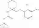 Fig. 99 - Sweet flavor modifier