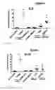 Fig. 06 - Substituted imidazoquinolines