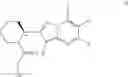 Fig. 06 - COMPOUNDS AND METHODS FOR ANTIVIRAL TREATMENT