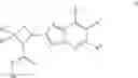Fig. 16 - COMPOUNDS AND METHODS FOR ANTIVIRAL TREATMENT
