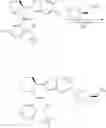 Fig. 205 - COMPOUNDS AND METHODS FOR ANTIVIRAL TREATMENT